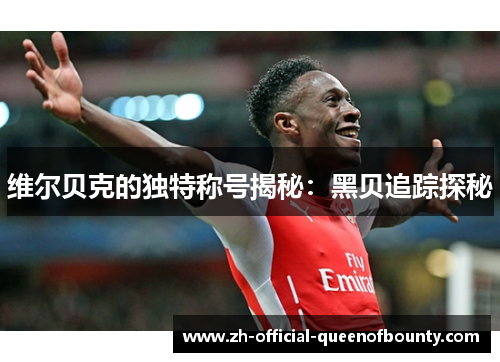 维尔贝克的独特称号揭秘：黑贝追踪探秘